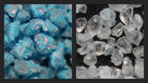 Before and after inhalation: The carrier particles are retained in the blister, while the drug is delivered to the lung